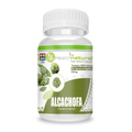 ALCACHOFA 500 MG 90 CAPSULAS