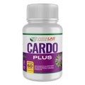 CARDO MARIANO 60 CAPSULAS 500 MG